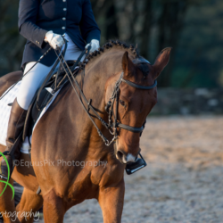 Dressage > Castlefreake Festival 11th October 2015