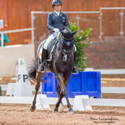 Dressage Ireland Winter Finals